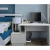 Techly ICA-CS 62 uchwyt CPU montowany pod biurkiem Czarny