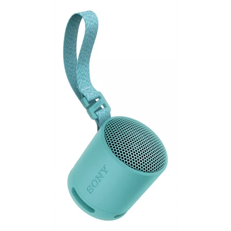 Sony SRS-XB100 - Bezprzewodowy przenośny głośnik Bluetooth, trwała obudowa IP67 wodoszczelna i pyłoszczelna, 16 godzin pracy na baterii, ekologiczny, do użytku na zewnątrz i w podróży, kolor niebieski