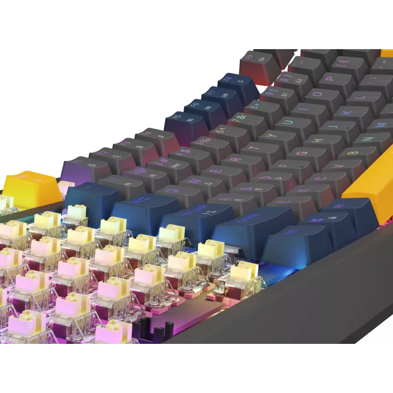 Klawiatura gamingowa GENESIS Thor 230 TKL USB QWERTY angielska niebieska