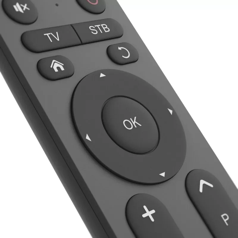 Pilot zdalnego sterowania Hama 00221056 IR bezprzewodowy TV 31 przycisków zasięg 10 m