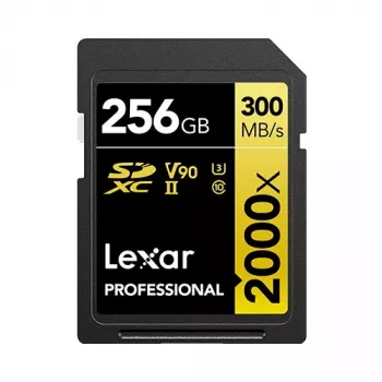 Karta pamięci Lexar 256 GB SDXC Class 10 LSD2000256G-BNNNG
