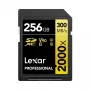 Karta pamięci Lexar 256 GB SDXC Class 10 LSD2000256G-BNNNG
