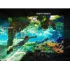 Telewizor Samsung 55 cali Neo QLED QN85F 4K Ultra HD Smart TV, 55 cali (138 cm), Neo QLED, 3840x2160, Tizen, Srebrny