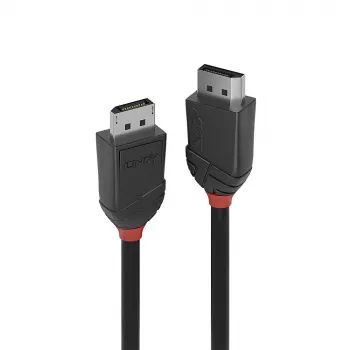 Kabel Lindy DisplayPort 1.2, 1 m, linia Czarny