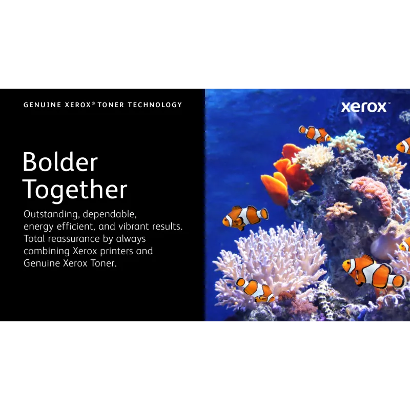 Xerox Genuine ® B305 Multifunction Printer/B310 Printer/B315 Multifunction Printer Czarny Toner Standardowa pojemność (3000 stron) - 006R04376