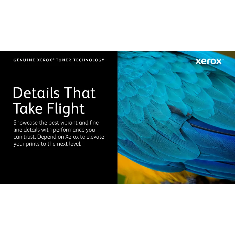 Xerox oryginalny ® C320 Kolor Printer/C325 Kolor Multifunction Printer magenta wysoka pojemność kaseta z tonerem (5500 stron) - 006R04829