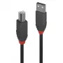Lindy 0.2m USB 2.0 Typ A na B Kabel, Linia Anthra