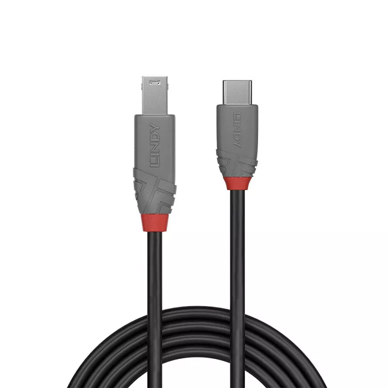 Kabel Lindy USB 3.2 typu C na B, linia Anthra, 2 m