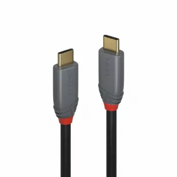 Kabel Lindy 2 m USB 3.2 typu C, 5 A PD, linia Anthra