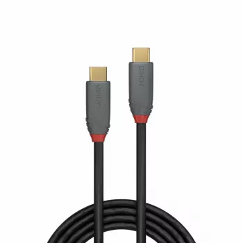 Kabel Lindy 2 m USB 3.2 typu C, 5 A PD, linia Anthra