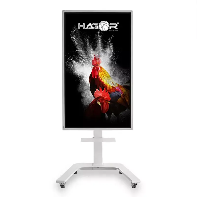 TV Wall Mount Hagor ST SA Flip II 165.1 cm (65 inch)