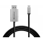 Kabel Sandberg USB-C do DisplayPort 2M USB typu C DisplayPort 2 m