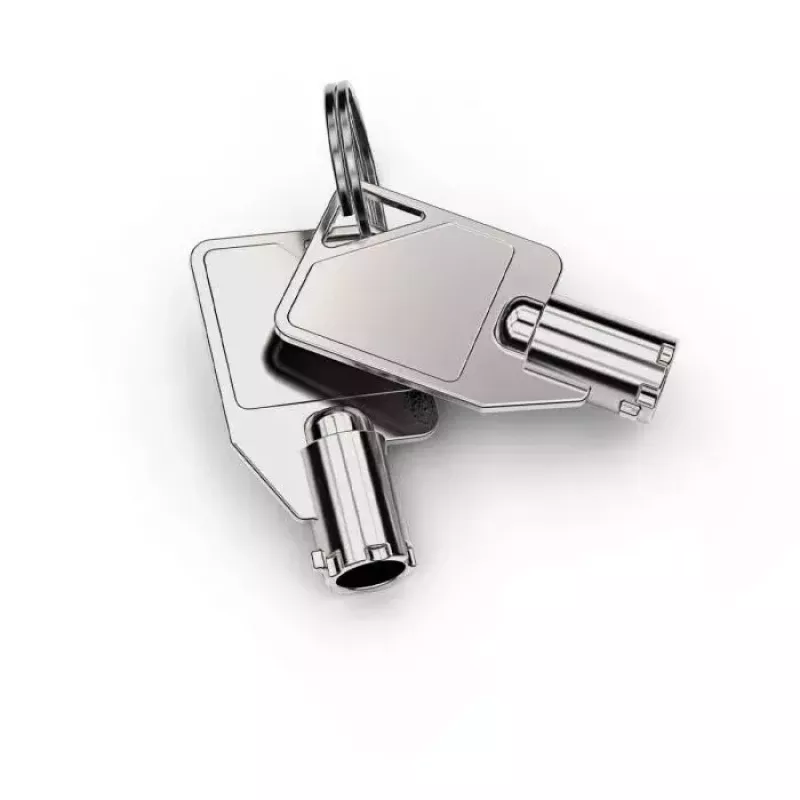 Security kabel Lock Compulocks CL02H Dual Head Coiled T-bar