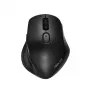 ASUS MW203 mysz biurowa praworęczna RF bezprzewodowa + Bluetooth optyczna 2400 DPI