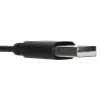 Targus AEH102GL headphones/headset Wired Head-band Calls/Music USB Type-A Czarny
