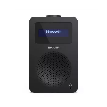 Radio osobiste Sharp DR-430 Tuner cyfrowy DAB DAB+ FM