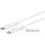 Kabel Lightning eSTUFF ES602021 0,5 m USB C Biały