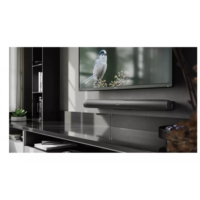 Sharp HT-SB100 listwa dźwiękowa Czarny 2.0 kanały 75 W