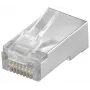 Złącze przewodowe Microconnect KON504-10 RJ45 Przezroczyste
