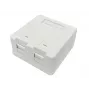 Lanview LVN127767 gniazdo 2 x RJ-45 Białe