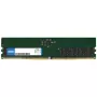 Origin Storage 16 GB, DDR5, 4800 MHz, 288-pin DIMM, 1 x 16 GB