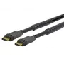 Vivolink PRODPAM10 kabel DisplayPort 10 m czarny