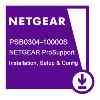 NETGEAR PSB0304 1 licencja
