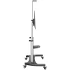 StarTech.com Mobilny stojak pod telewizor – wytrzymały wózek TV do wyświetlaczy 60-100 cali (100 kg/220 funtów) – regulowany wysokością, stojący na podłodze, na kółkach, do płaskich ekranów – uniwersalny uchwyt telewizyjny z półkami