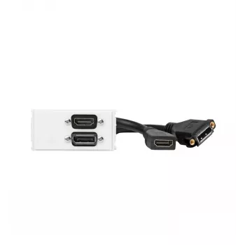 Vivolink WI221267 gniazdo HDMI + DisplayPort białe