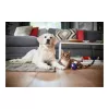 Odkurzacz bezworkowy Philips PowerPro Expert FC9729/09