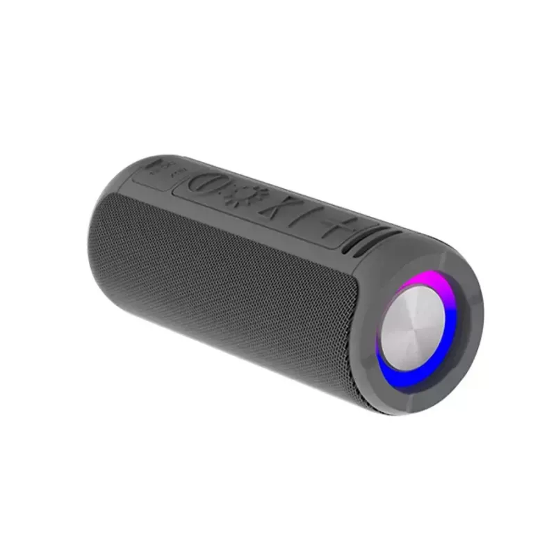Przenośny głośnik mono Denver BTV-213GR Czarny