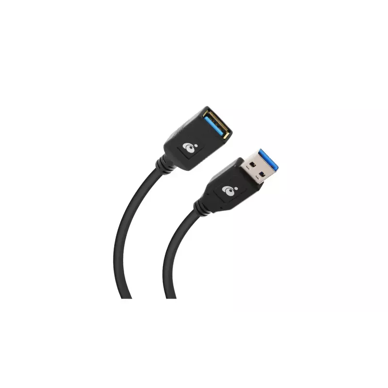 Kabel USB IOGEAR G2LU3AMF USB 3.2 Gen 1 0,3 m USB A Czarny