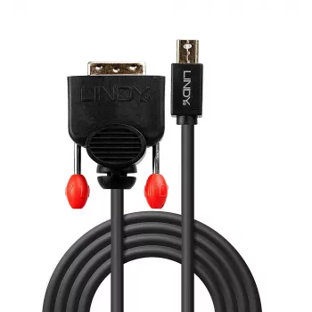 Kabel Lindy 1 m Mini DisplayPort do DVI, czarny