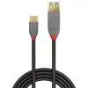 Lindy 0,15m adapter kablowyowy USB 3.2 Typ C na A, 10Gbps, Anthra Line