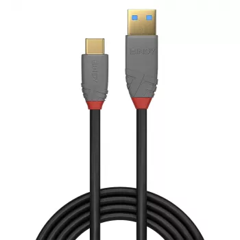 Lindy 3m USB 3.2 Type A to C kabel 5A PD Czarny