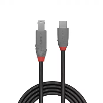 Kabel Lindy USB 3.2 Typ C na B, 1 m, linia Anthra