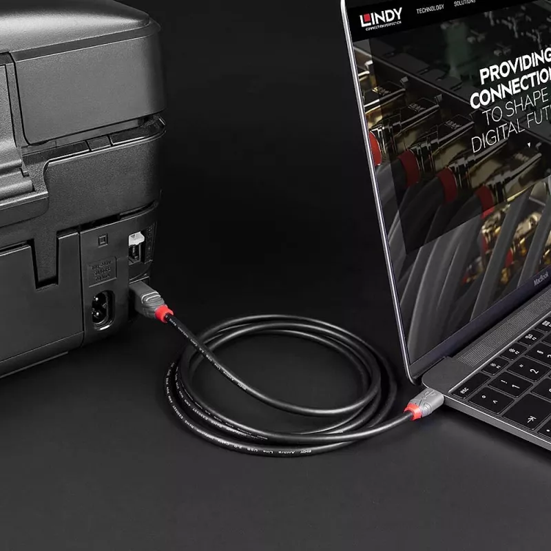 Kabel Lindy 1 m USB 2.0 Typ C na B, Anthra Line