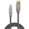 Kabel Lindy USB 3.2 Typ A do B, 1 m, 5 Gb/s, linia Cromo