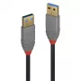 Lindy 0.5m USB 3.2 Typ A Kabel, 5Gbps, Anthra Line