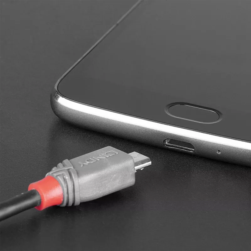 Lindy 2m USB 2.0 Type C do Micro-B Kabel, Linia Anthra
