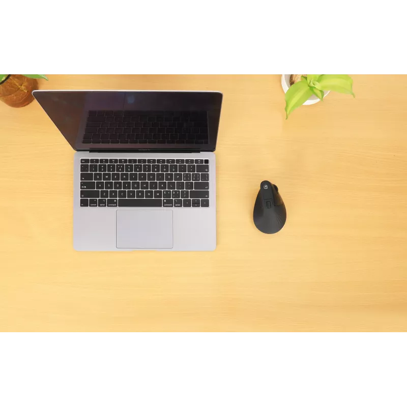 Mysz bezprzewodowa Manhattan Ergonomic Vertical Right Handed RF