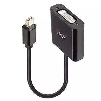 Lindy Mini DisplayPort do DVI, aktywny konwerter, 0,16 m, czarny
