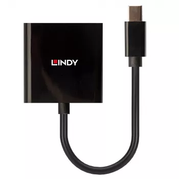 Lindy Mini DisplayPort do DVI, aktywny konwerter, 0,16 m, czarny