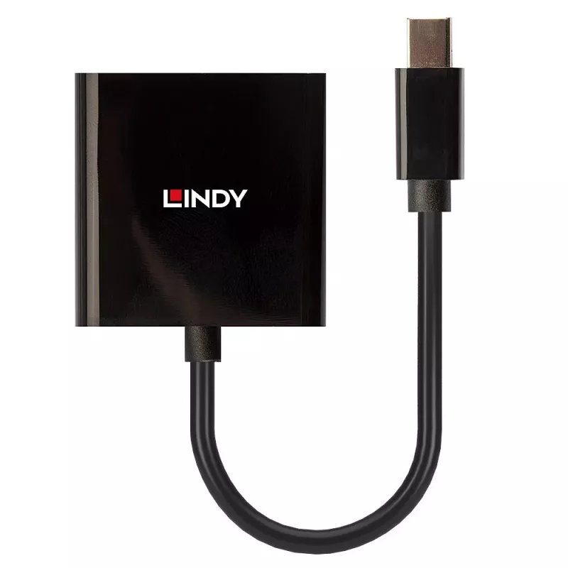 Lindy Mini DisplayPort do DVI, aktywny konwerter, 0,16 m, czarny