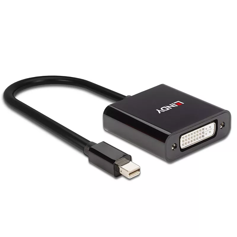 Lindy Mini DisplayPort do DVI, aktywny konwerter, 0,16 m, czarny