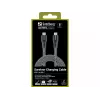 Kabel USB-C Sandberg Survivor 2M 100W Czarny Biały