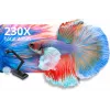 Kamera dokumentowa AVer M70W Czarny 25.4 / 3.2 mm CMOS USB 2.0