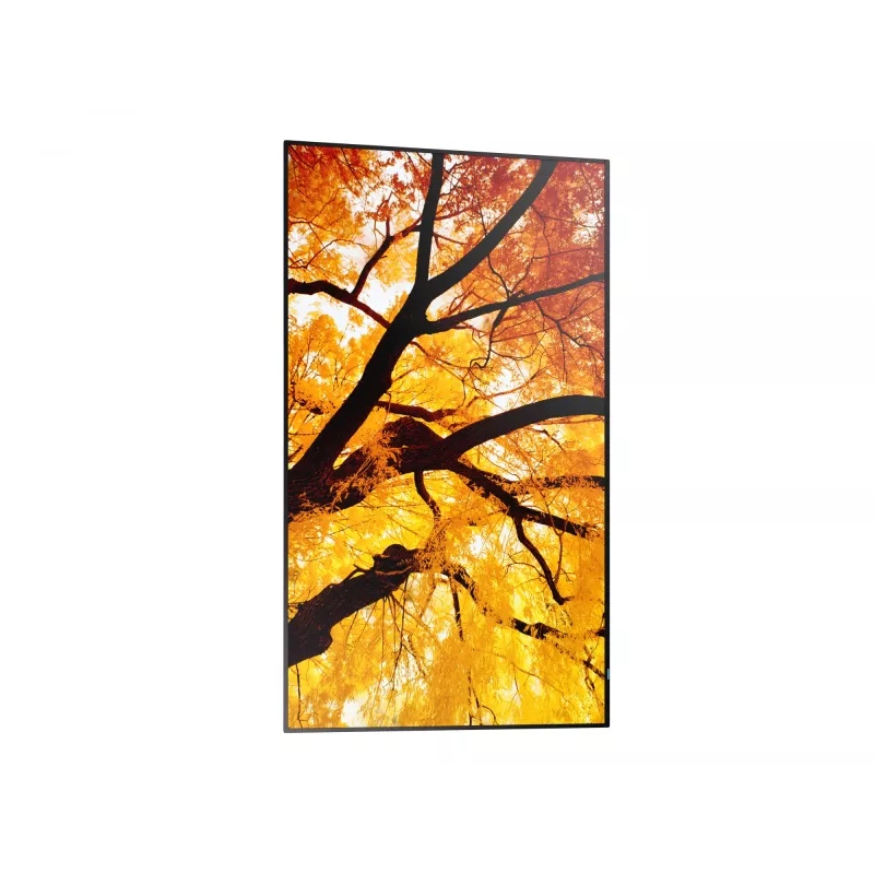 Sharp MultiSync PN-M982 Interaktywny płaski panel 2,48 m (97,5 cala) LED 550 cd/m² 4K Ultra HD Czarny 24/7