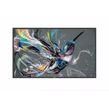 Cyfrowy panel informacyjny Philips 50BDL3650QE/00 49,5 cala 4K Ultra HD 3840 x 2160