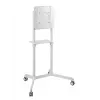 Vivolink VLFS3770 Uchwyt/stojak pod telewizor 177,8 cm (70 cali) Biały